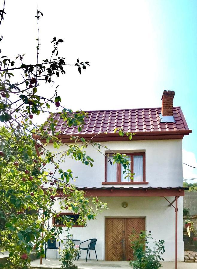 Hotel Boraszporta - Preshaz Villány Exteriér fotografie