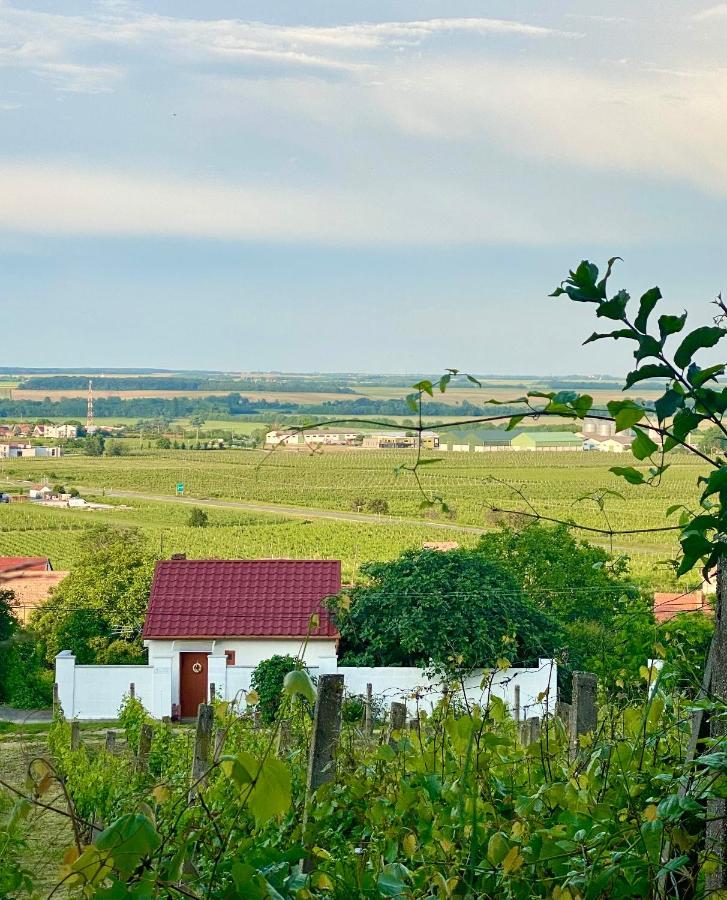 Hotel Boraszporta - Preshaz Villány Exteriér fotografie
